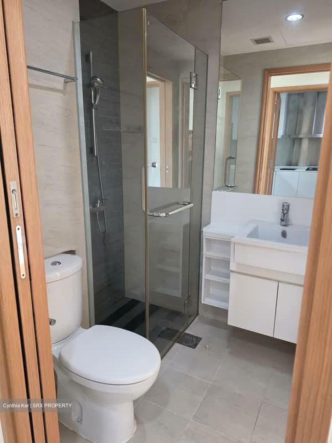 Park Infinia At Wee Nam (D11), Condominium #571737811